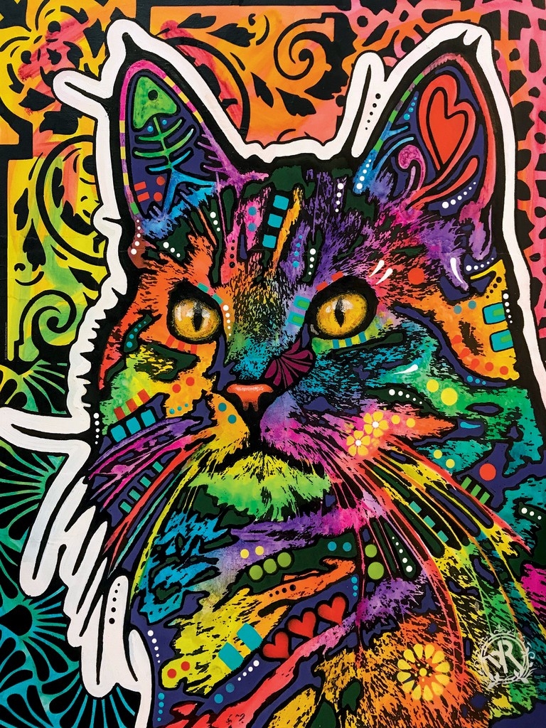 Necessity Cat