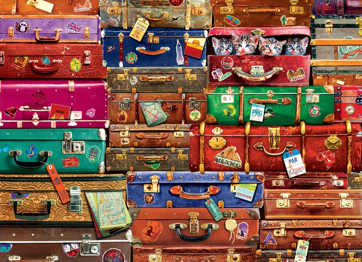 Valises de Voyage
