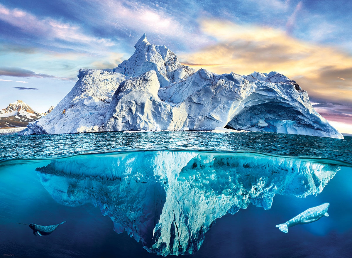 Save our Panet Collection - Arctique