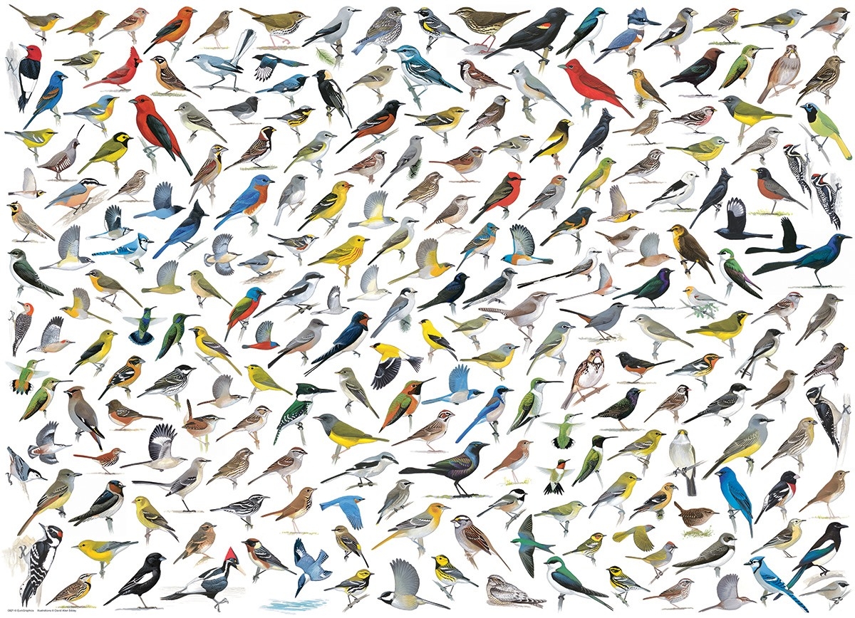 Le Monde des Oiseaux