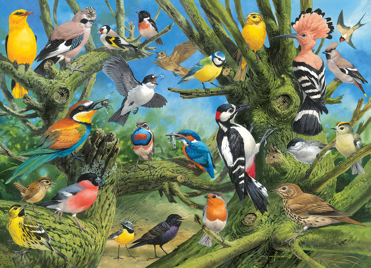 Joahn Francis - Garden Birds