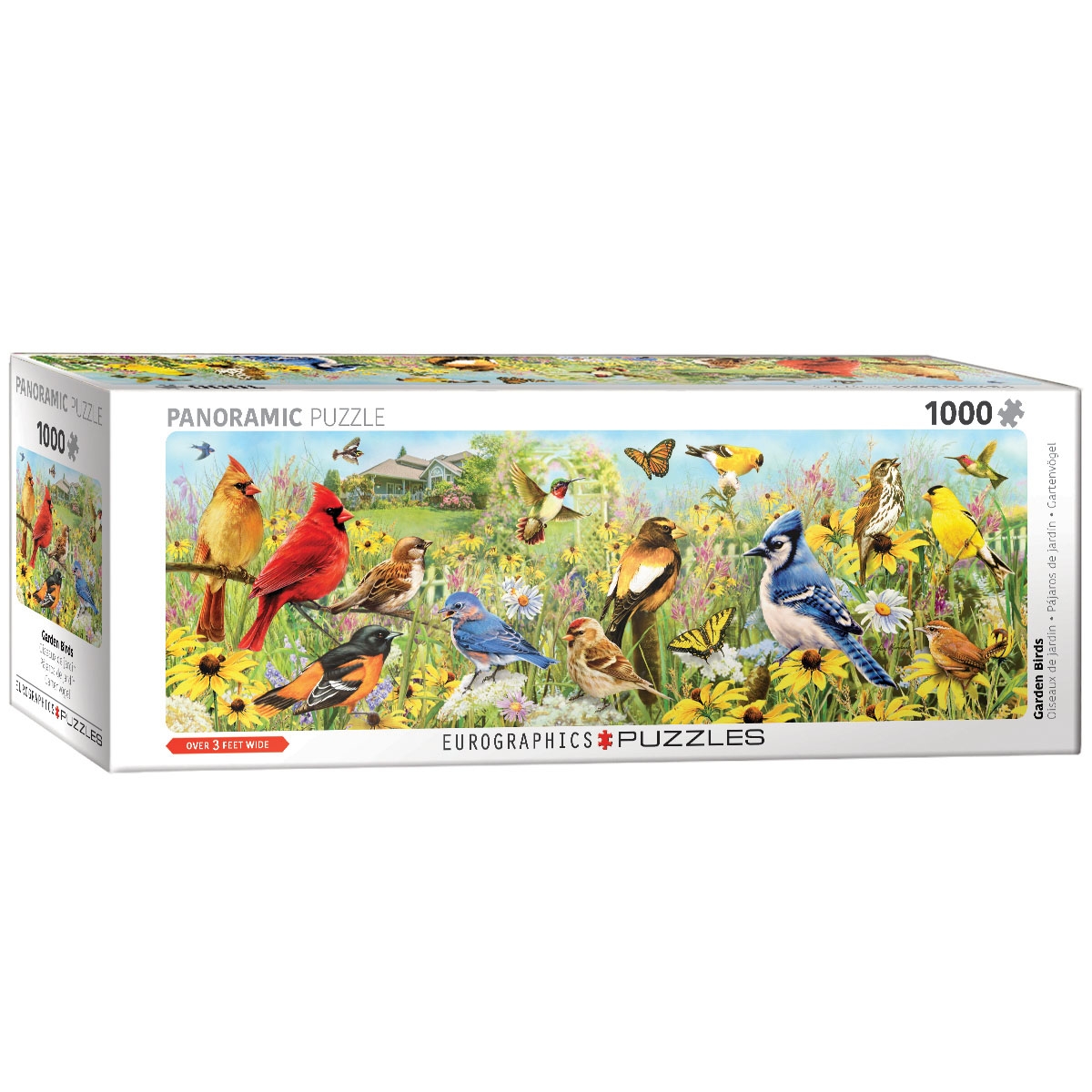 Oiseaux de Jardin