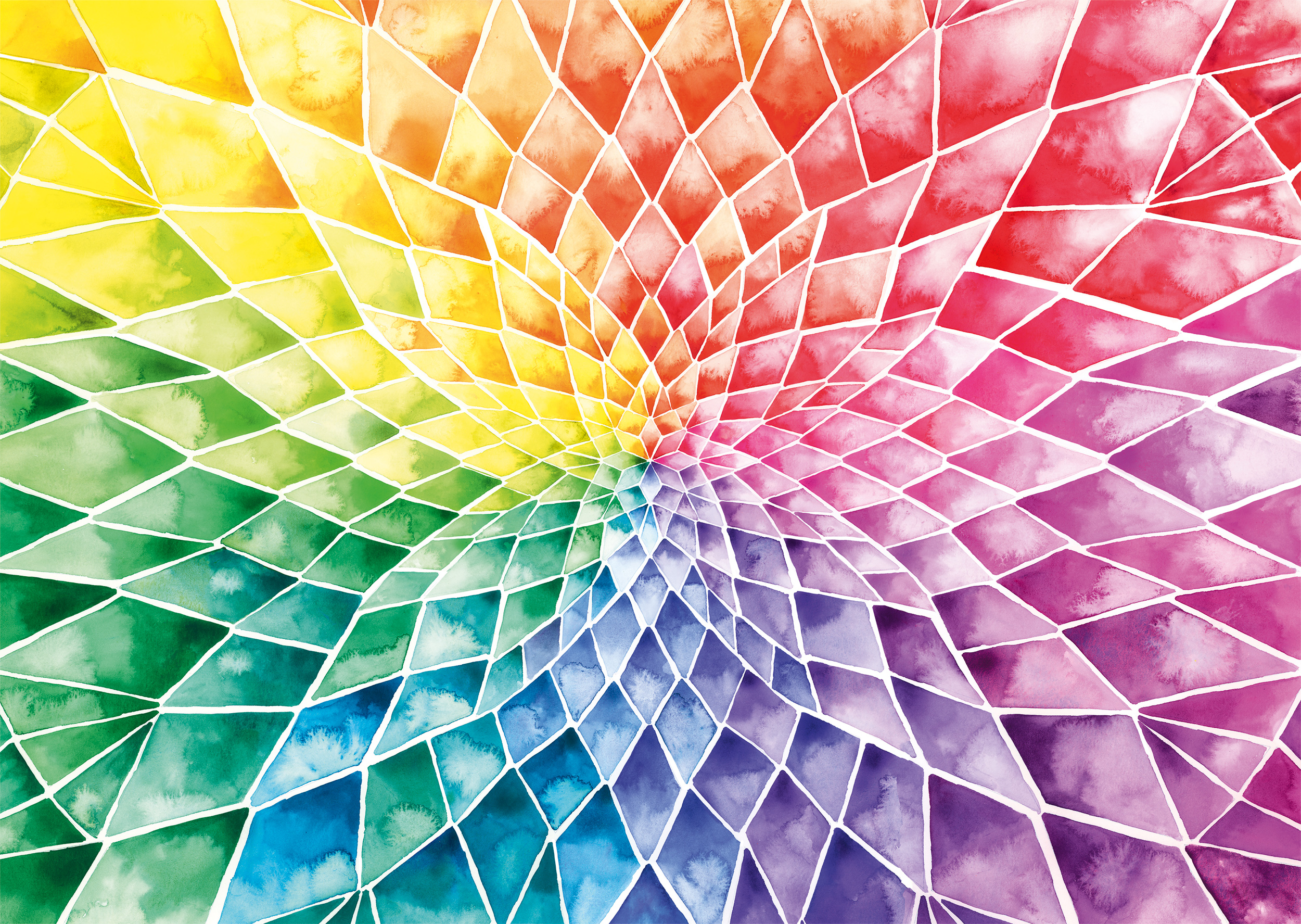Fleur Aux Couleurs Vives