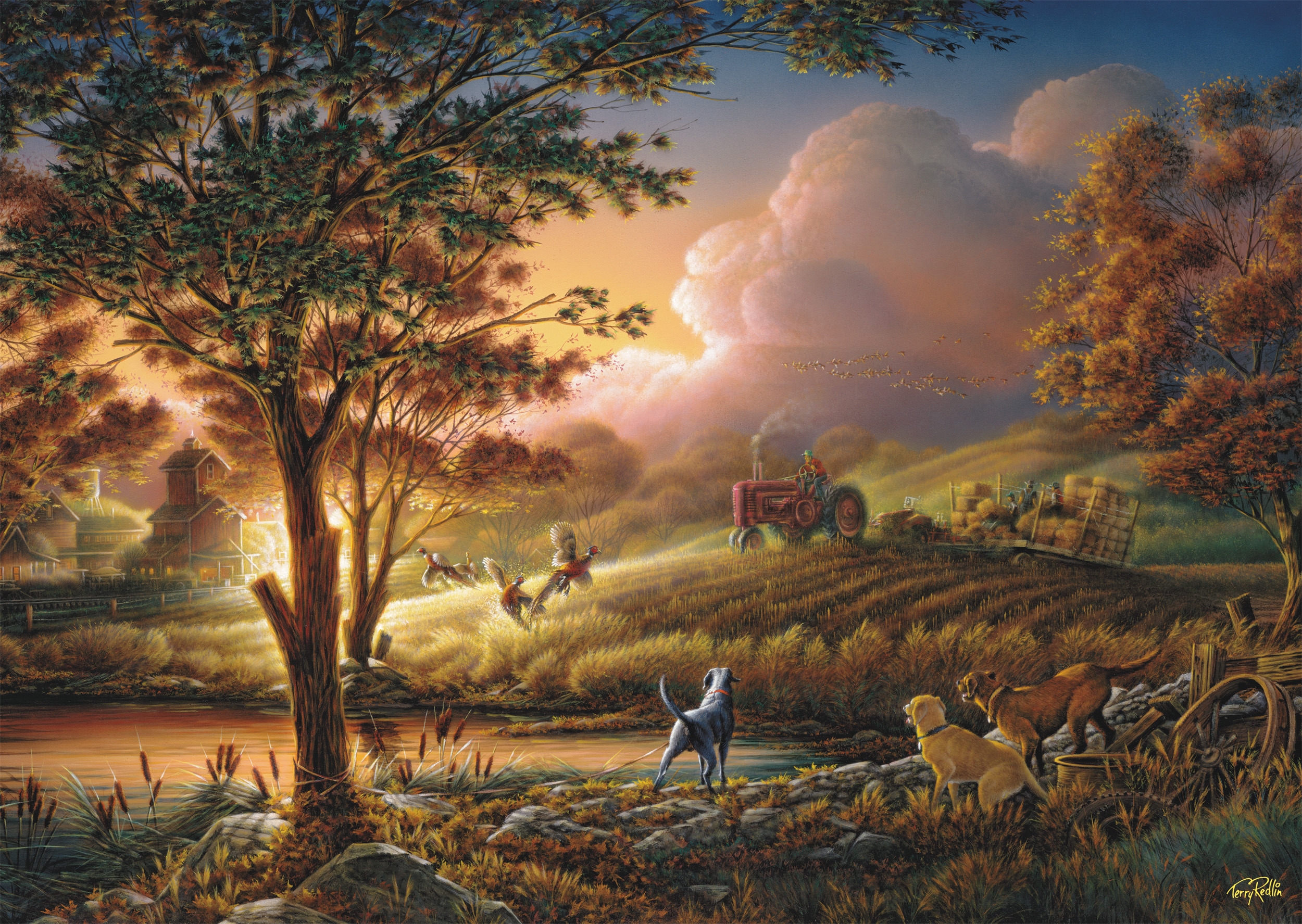 Moissons Dorées de Soleil
