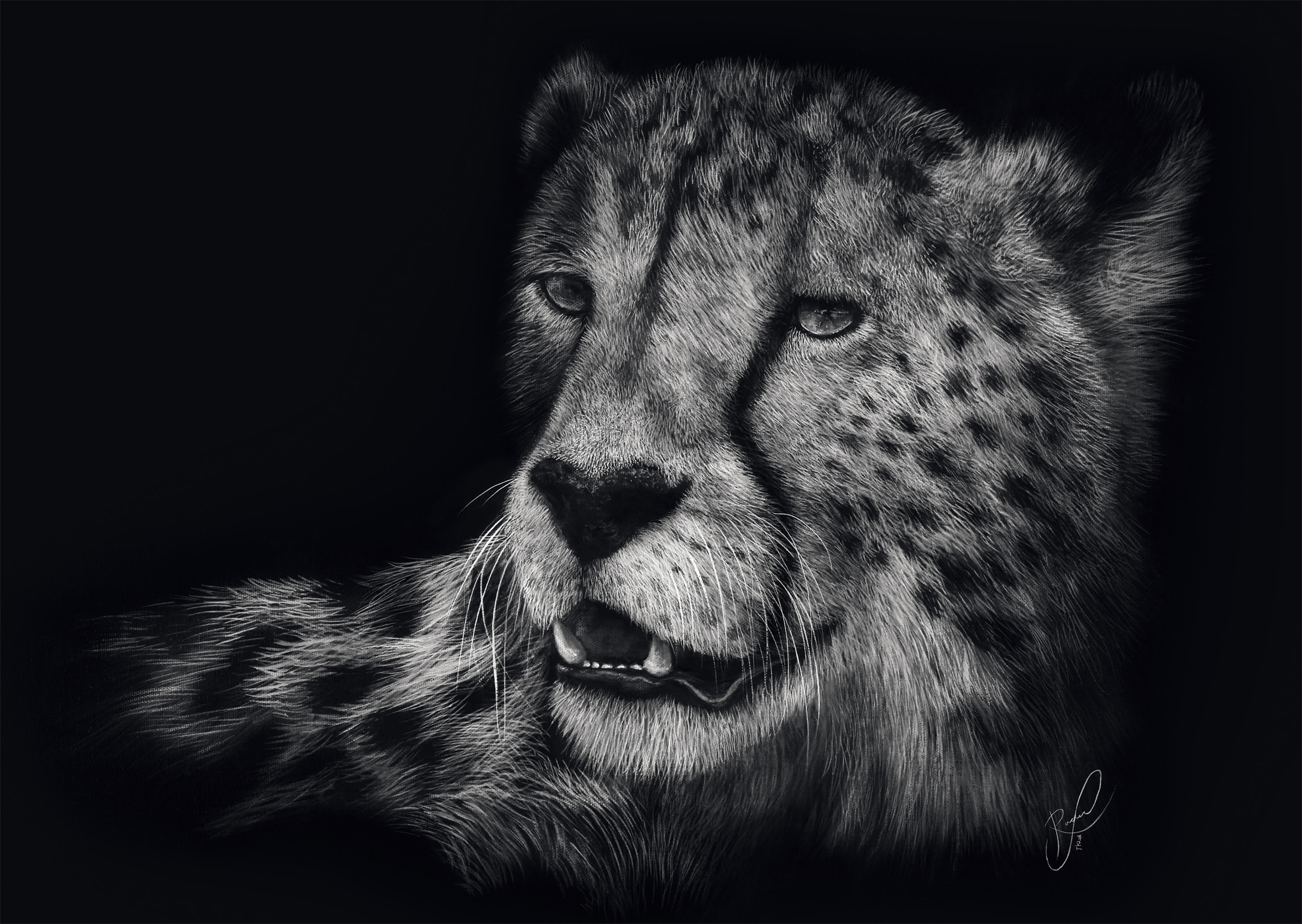 Véloce – Le Guépard : Sous le Signe de la Grâce