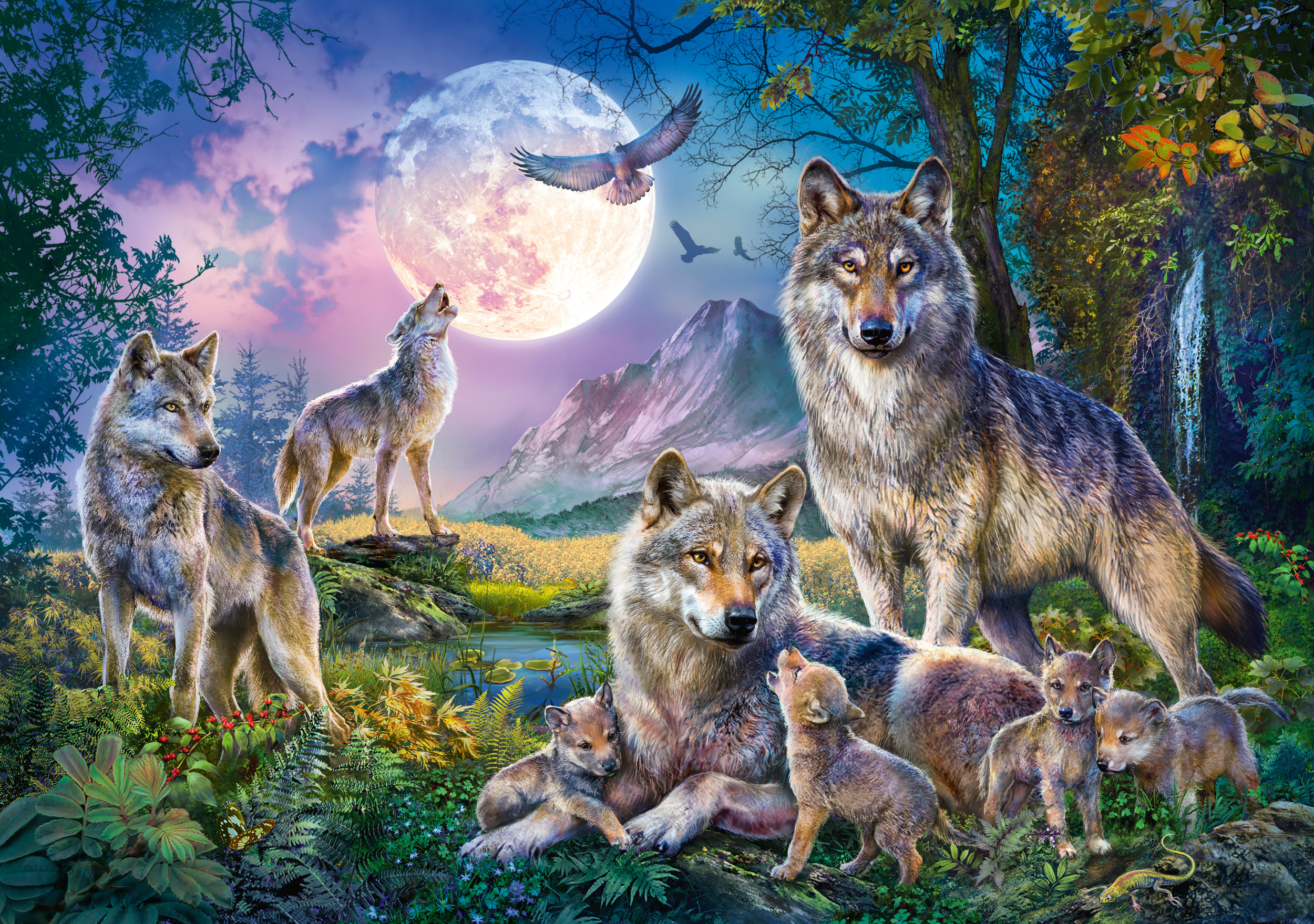 Loups