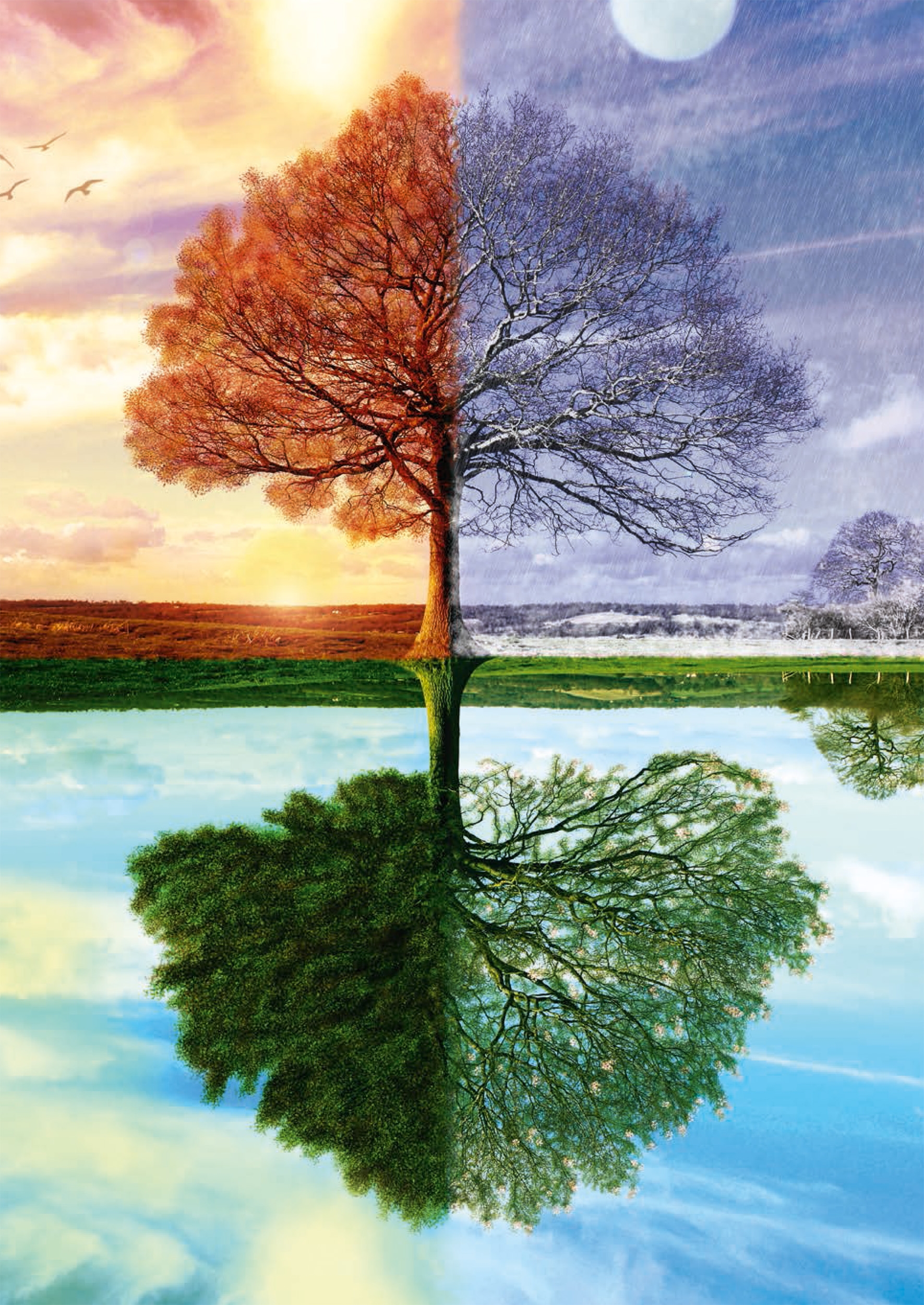 Arbre des 4 Saisons