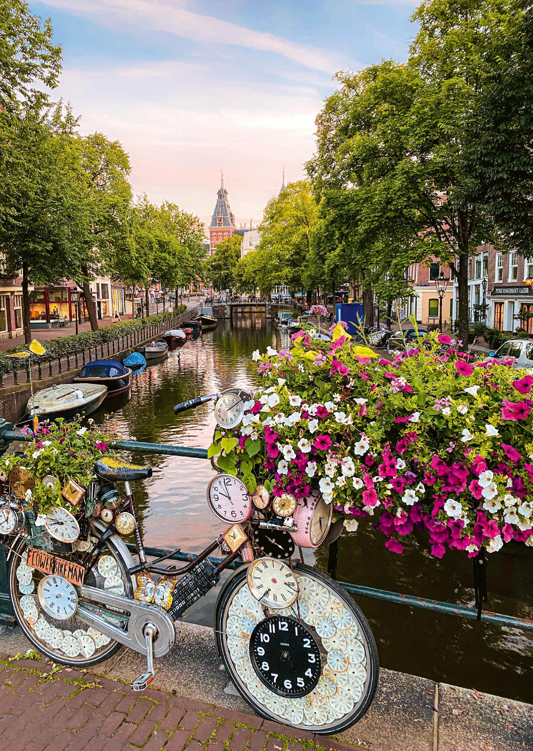 Fleurs À Amsterdam