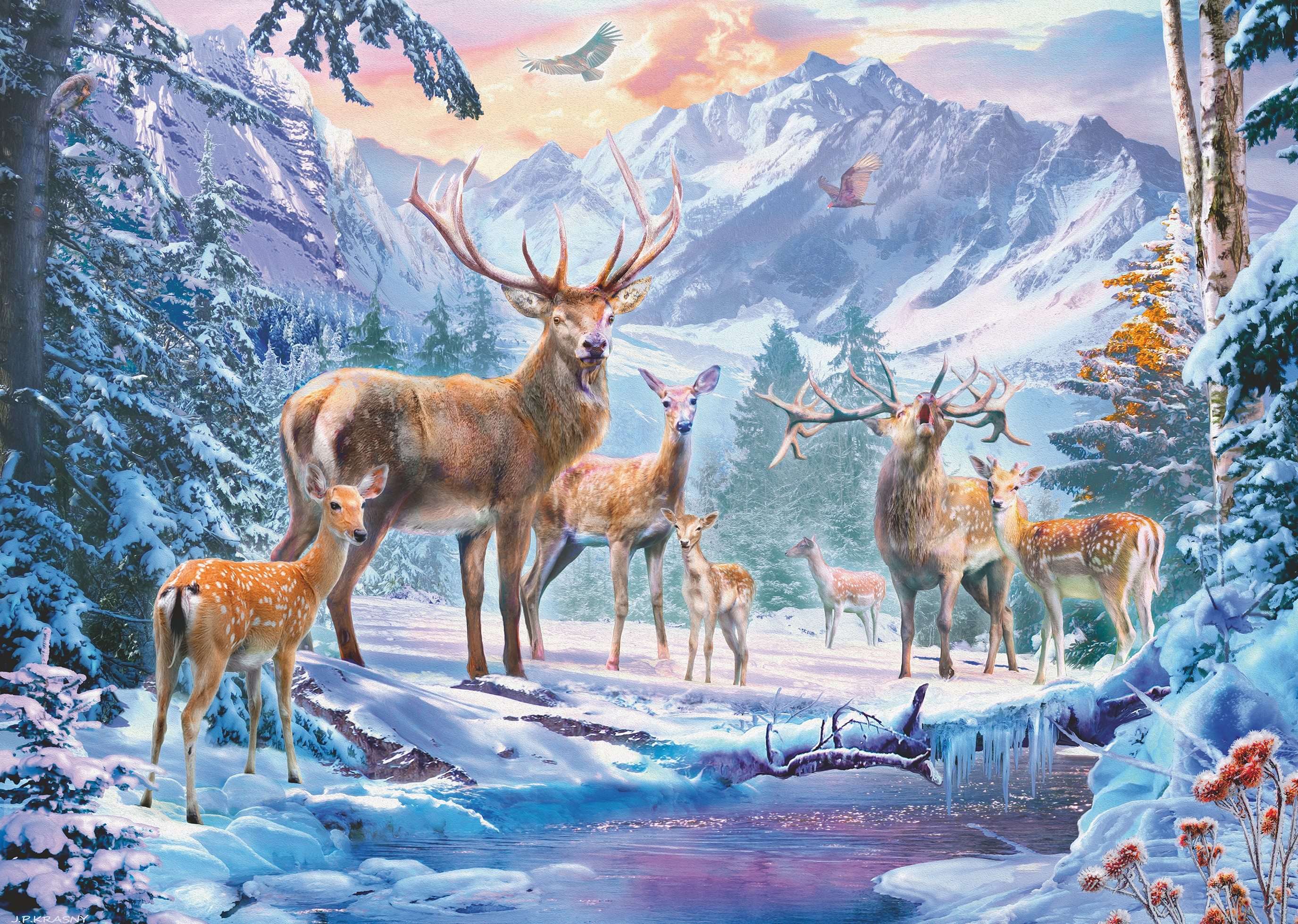Chevreuils Et Cerfs