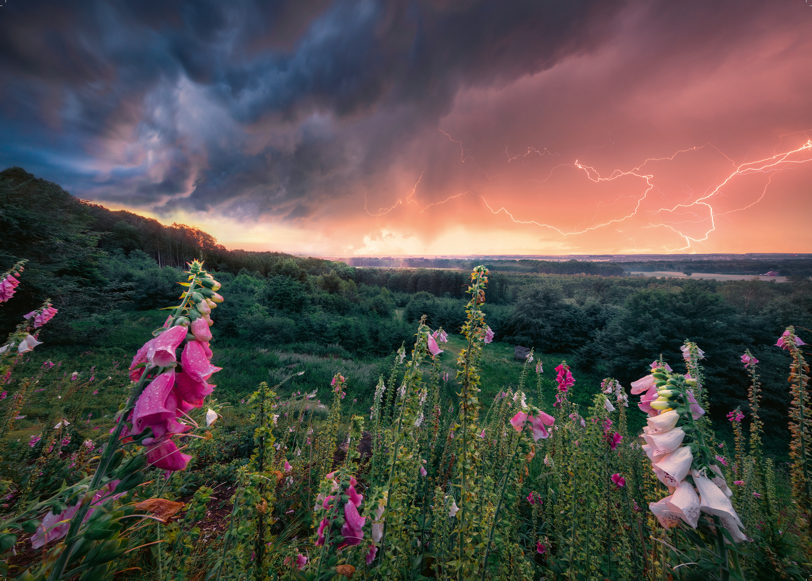 Une Tempête se Prépare