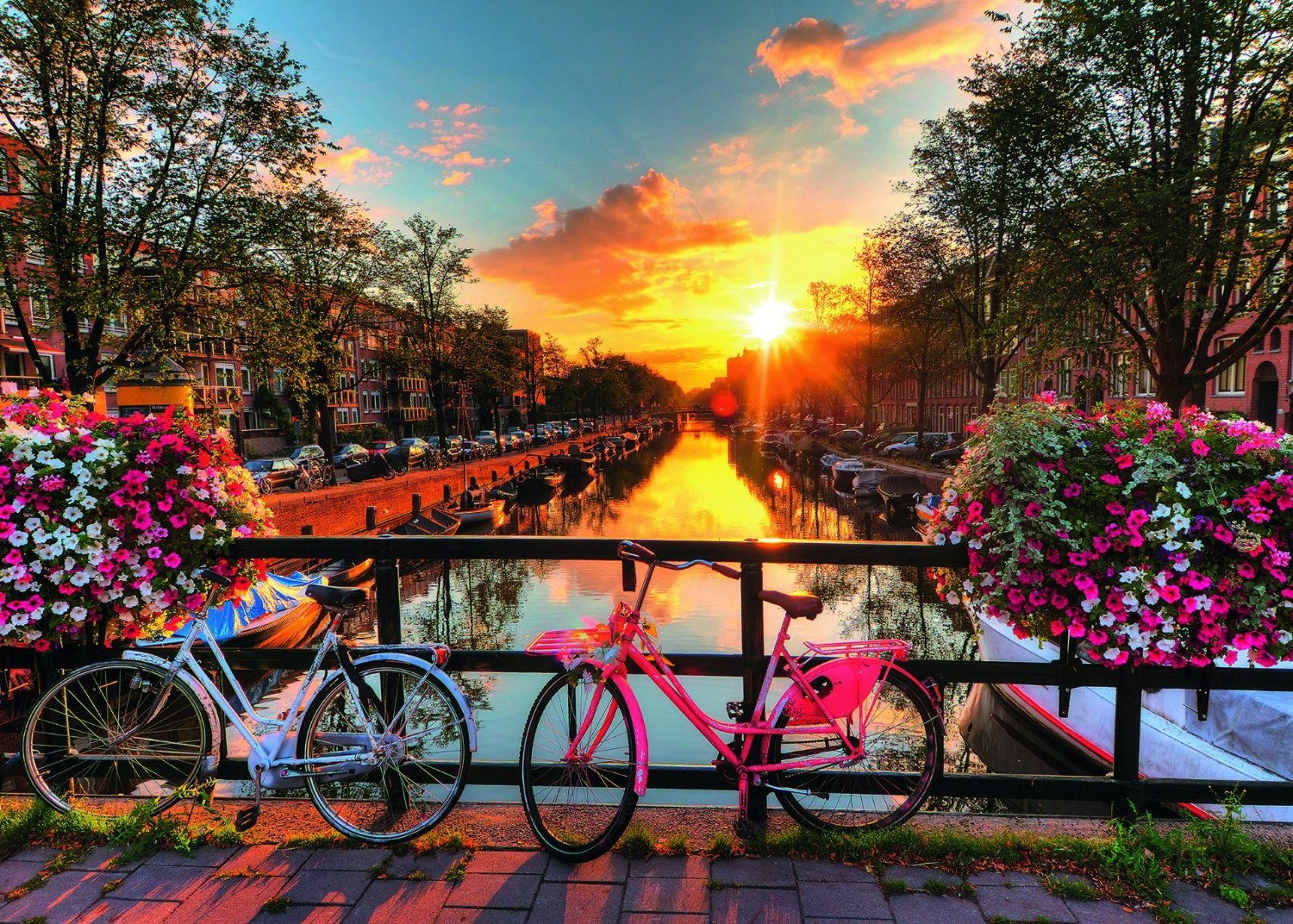 Vélos à Amsterdam