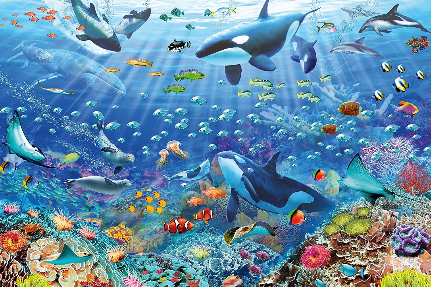 Monde Sous-Marin Coloré
