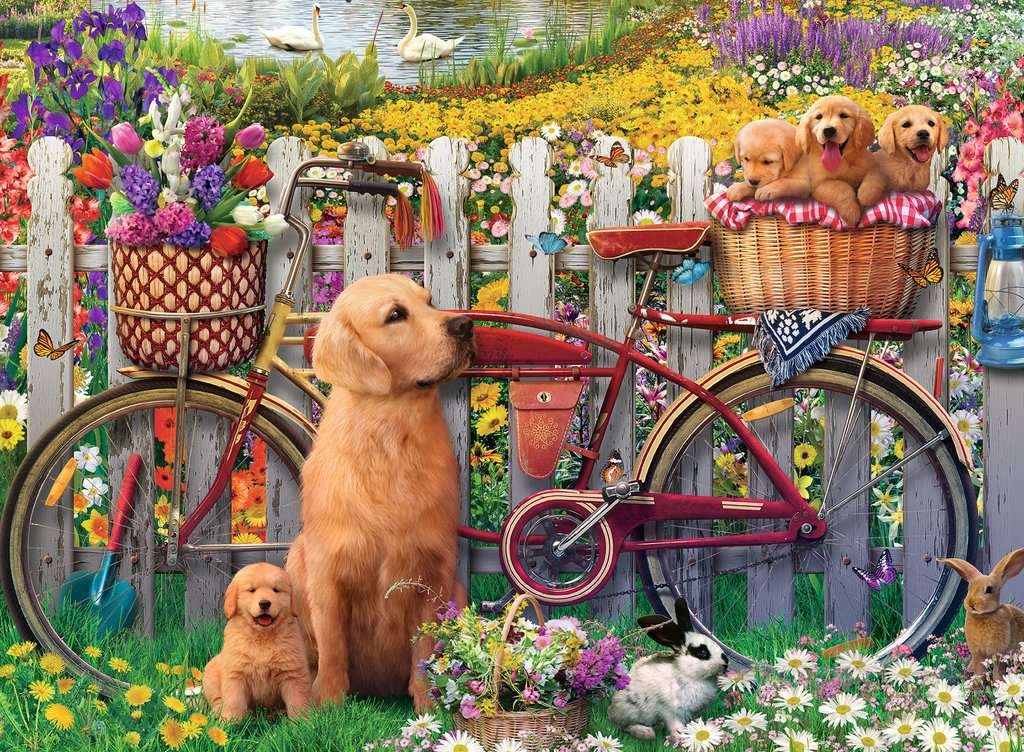 Chiens mignons dans le Jardin
