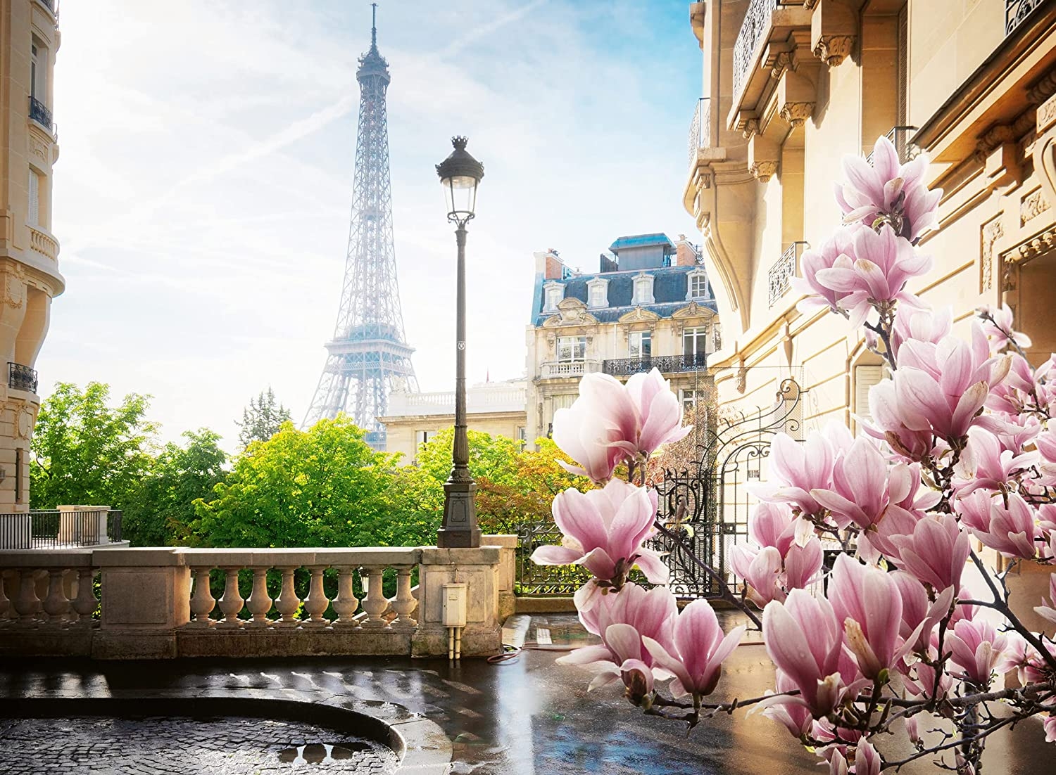Printemps à Paris