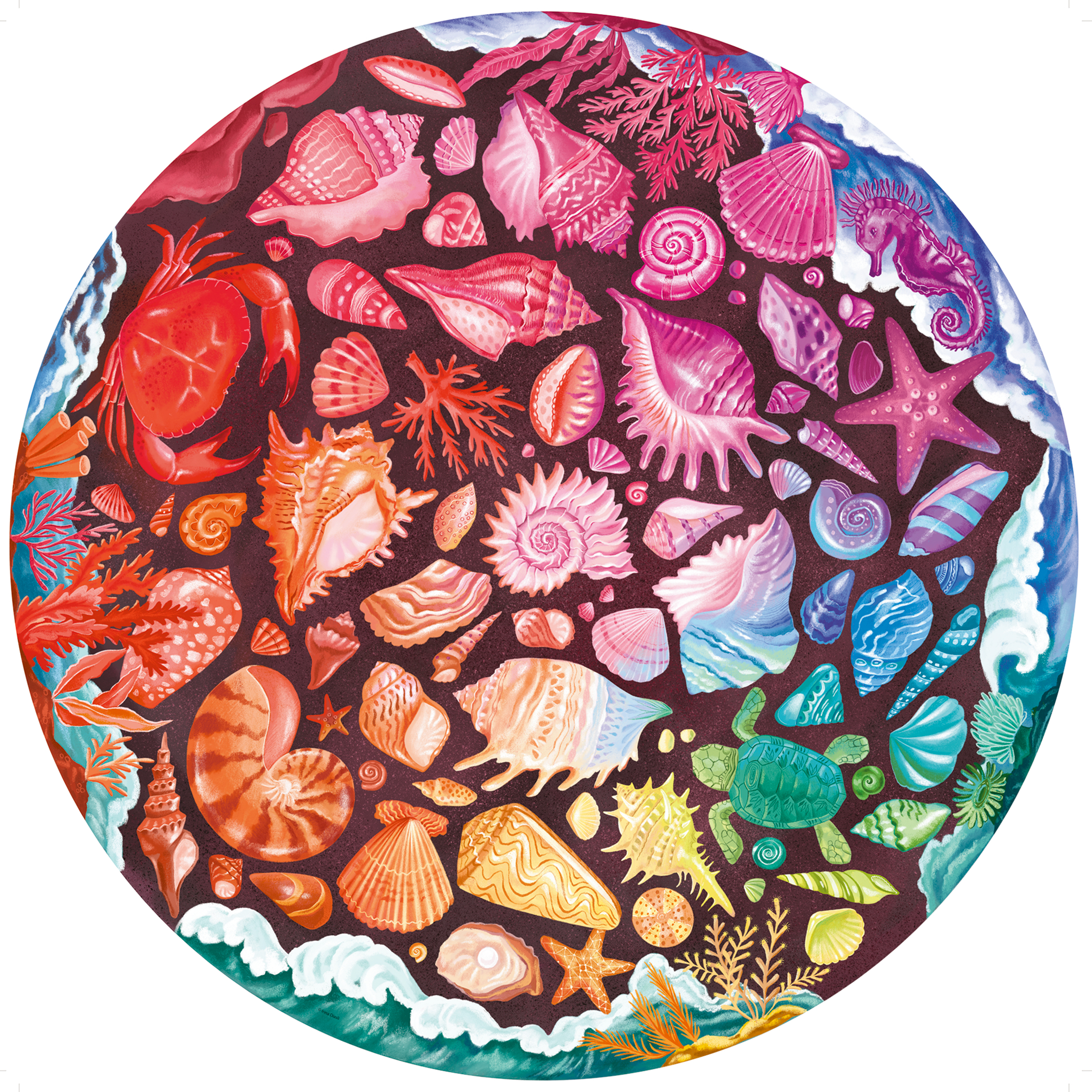 Circle of Colors - Coquillage