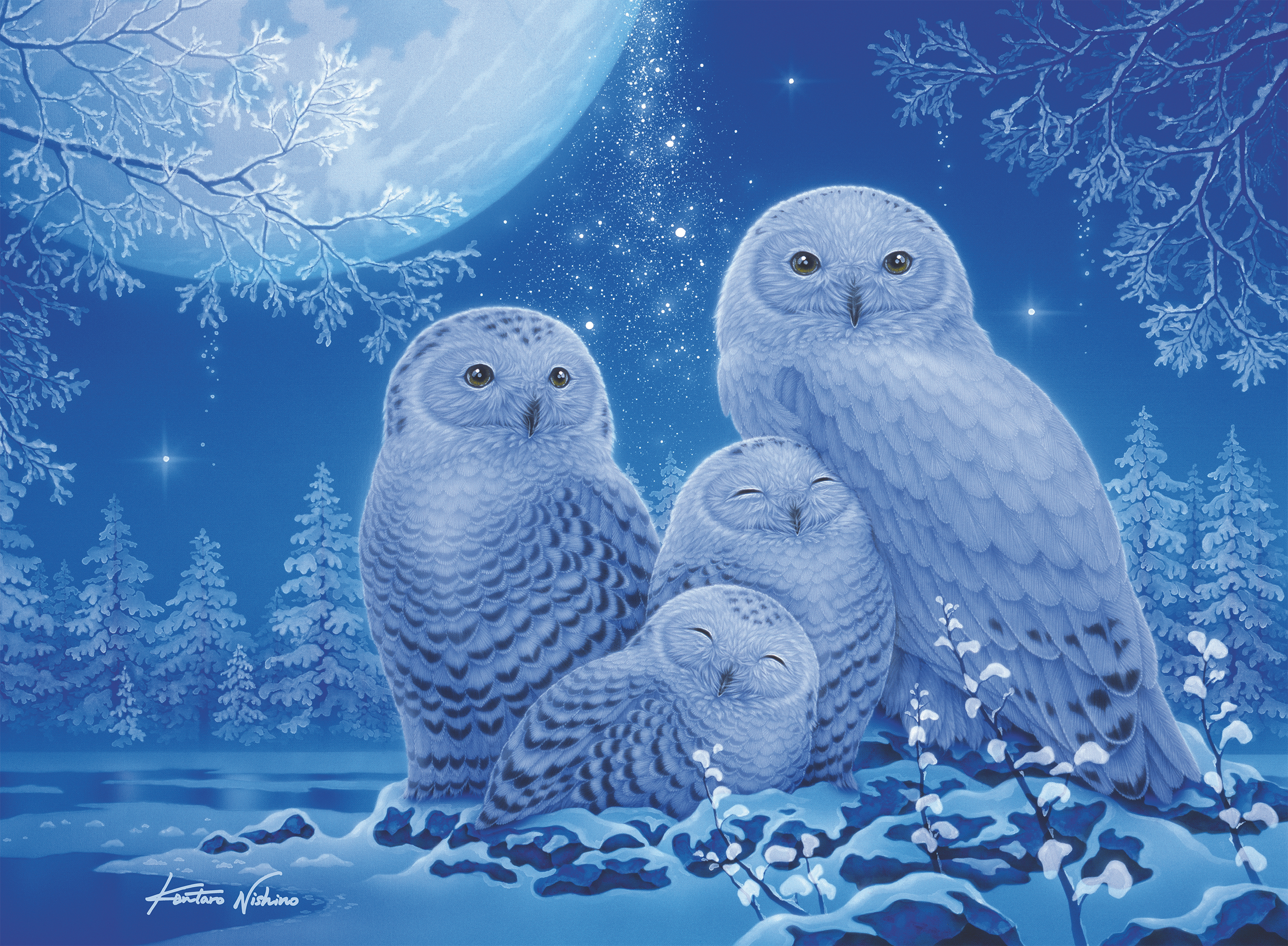 Puzzle Glow in the Dark - Chouettes au Clair de Lune