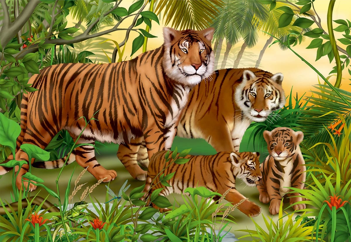 Animaux Sauvages - Tigres