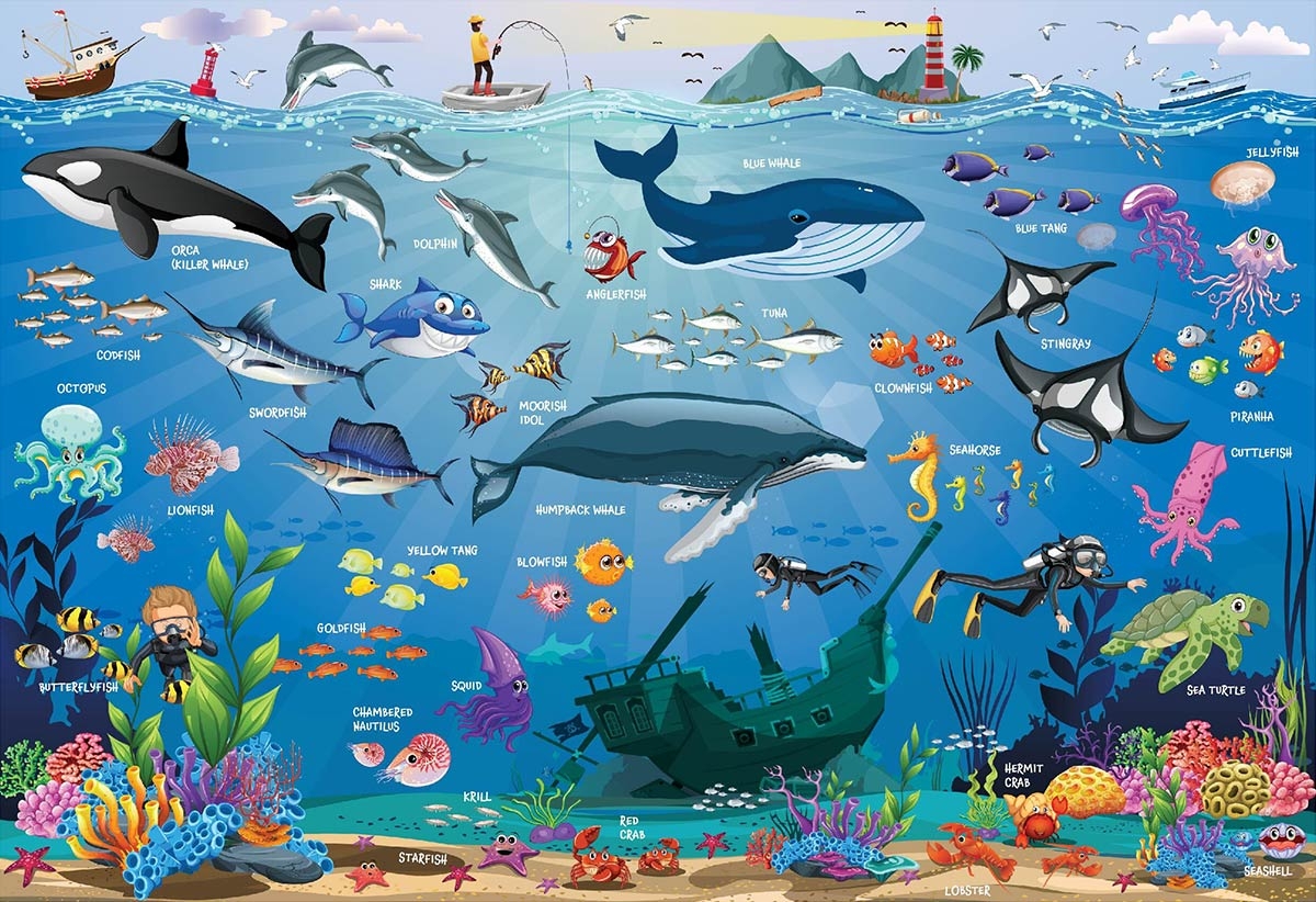 Ocean Animals