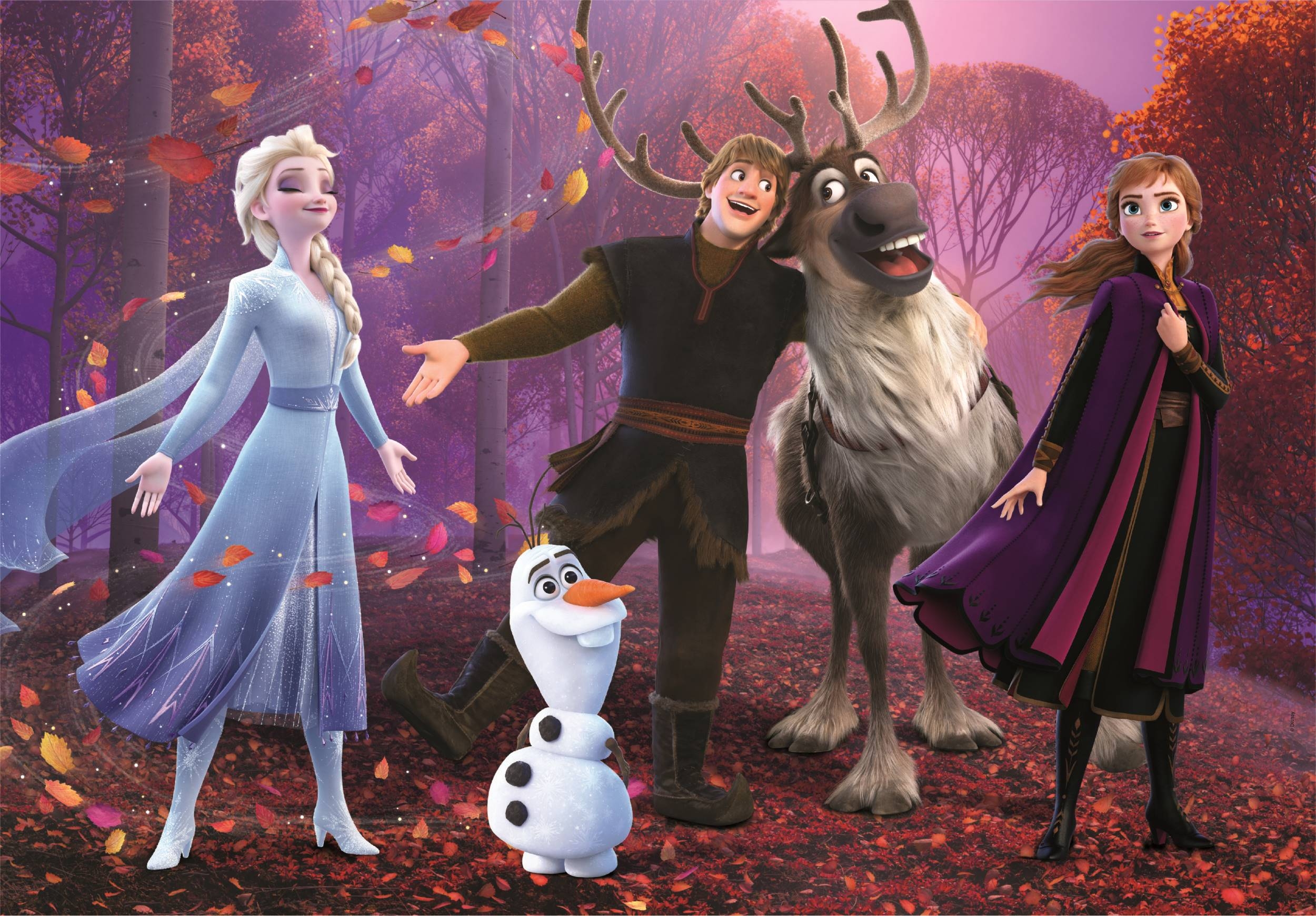 La Reine Des Neiges