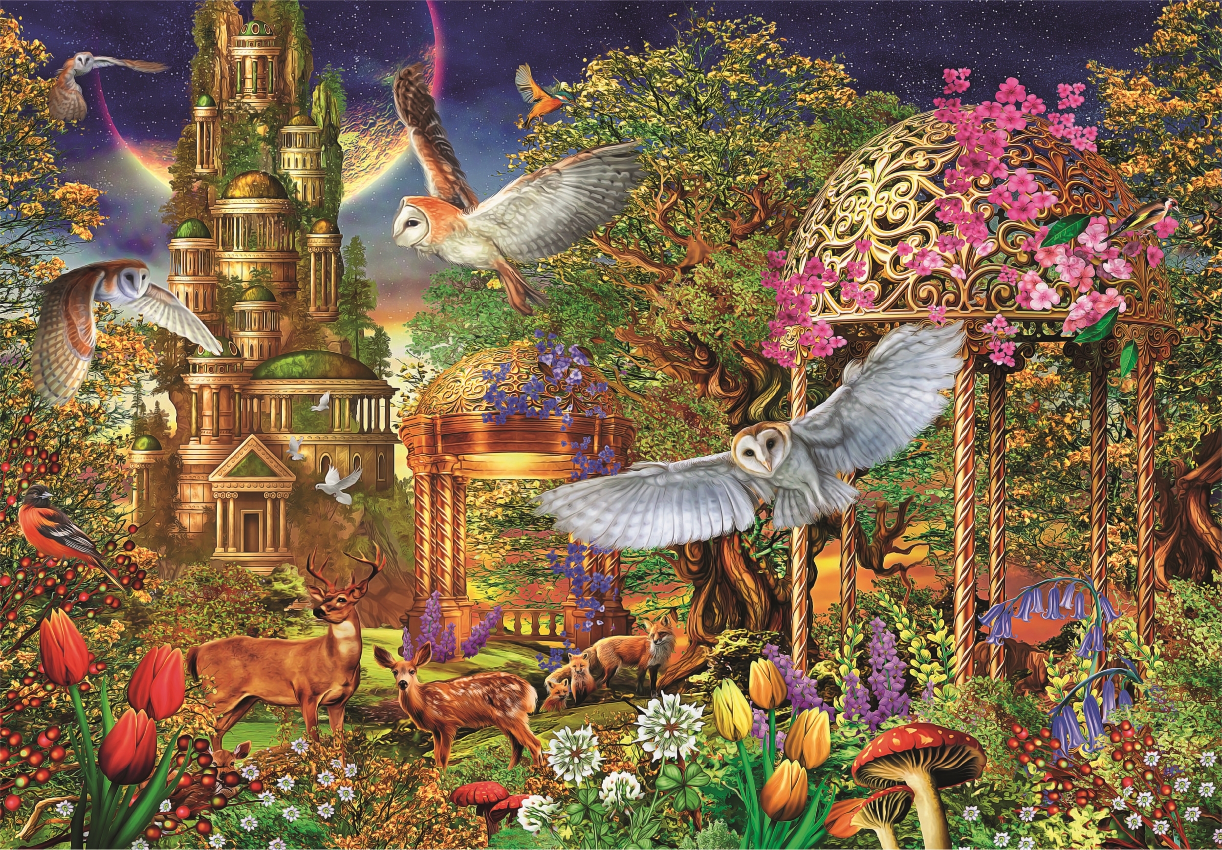 Jardin Fantastique Des Bois