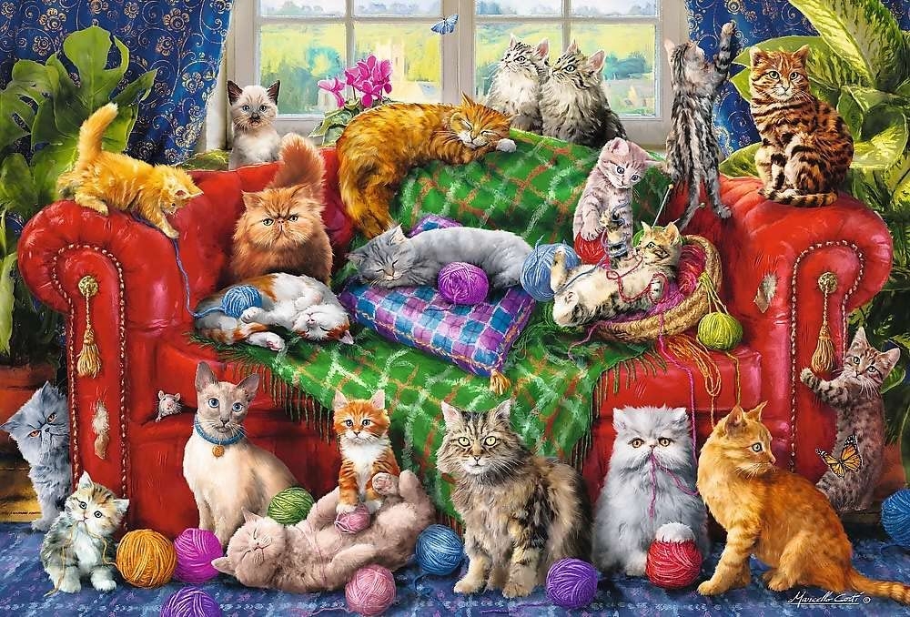 Chats sur le Sofa