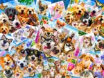 Selfie Pet Collage