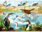 Audubon - Harmonie Des Oiseaux Et Des Ruisseaux