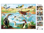 Audubon - Harmonie Des Oiseaux Et Des Ruisseaux