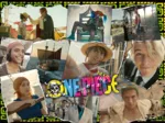 A la Recherche de One Piece