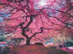 Pink Tree