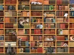 The Cat Library