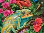 Caméléon du Karma