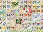 Papillons et Fleurs