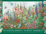 Colibris d'Amérique du Nord