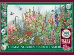 Colibris d'Amérique du Nord