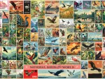 Oiseaux Nationaux du Monde