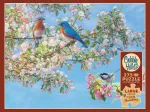 Festival des Fleurs