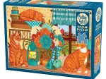 Chats du Champ de Citrouilles
