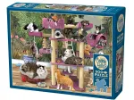 Chats de la Jungle