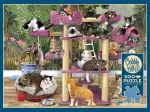 Chats de la Jungle
