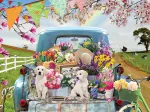 Truck de Printemps