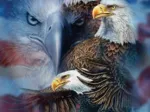 Steven Michael Gardner - Patriotic Eagles