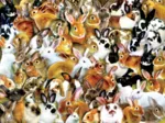 Lori Schory - A Bundle of Bunnies