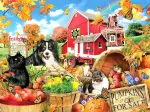 Amis de la Ferme