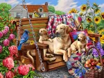 Chiens et Courtepointes