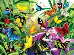 Lori Schory - Tropical Butterflies