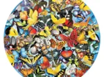 Lori Schory - Butterflies in the Round