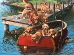Pièces XXL - Dog Paddle