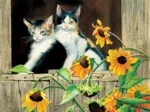 Susan Bourdet - Kittens and Sunflowers