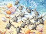 Sherry Vintson - Green Turtle Hatchlings
